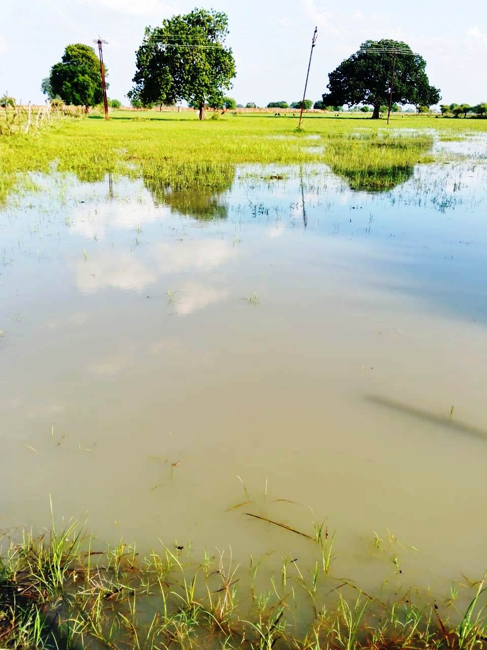 https://lokbharti.co.in/public/uploads/images/newsimages/dainiklokbhartiimage08102025_162312_फोटो। ।                  7.jpg